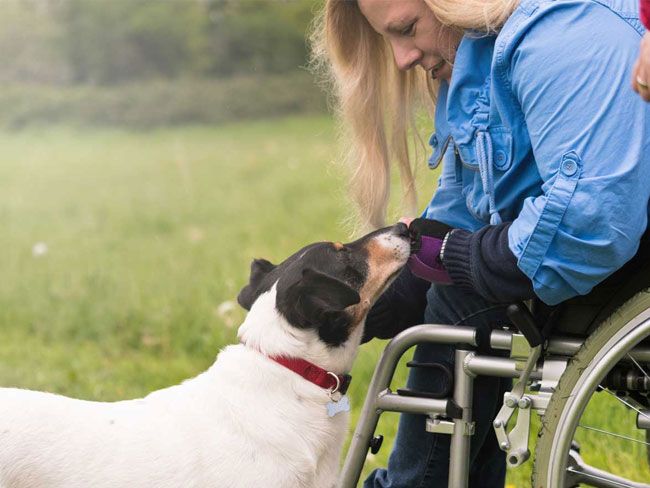 Owning A Pet To Keep You Company