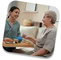 Home helps for the elderly with meal preparation and support